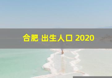 合肥 出生人口 2020